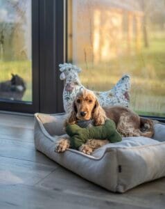 legowisko dla psa Psie Wyrko w jasnym wnętrzu 