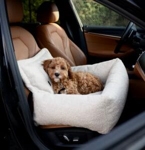 Fotelik samochodowy dla psa prestige Psie Wyrko